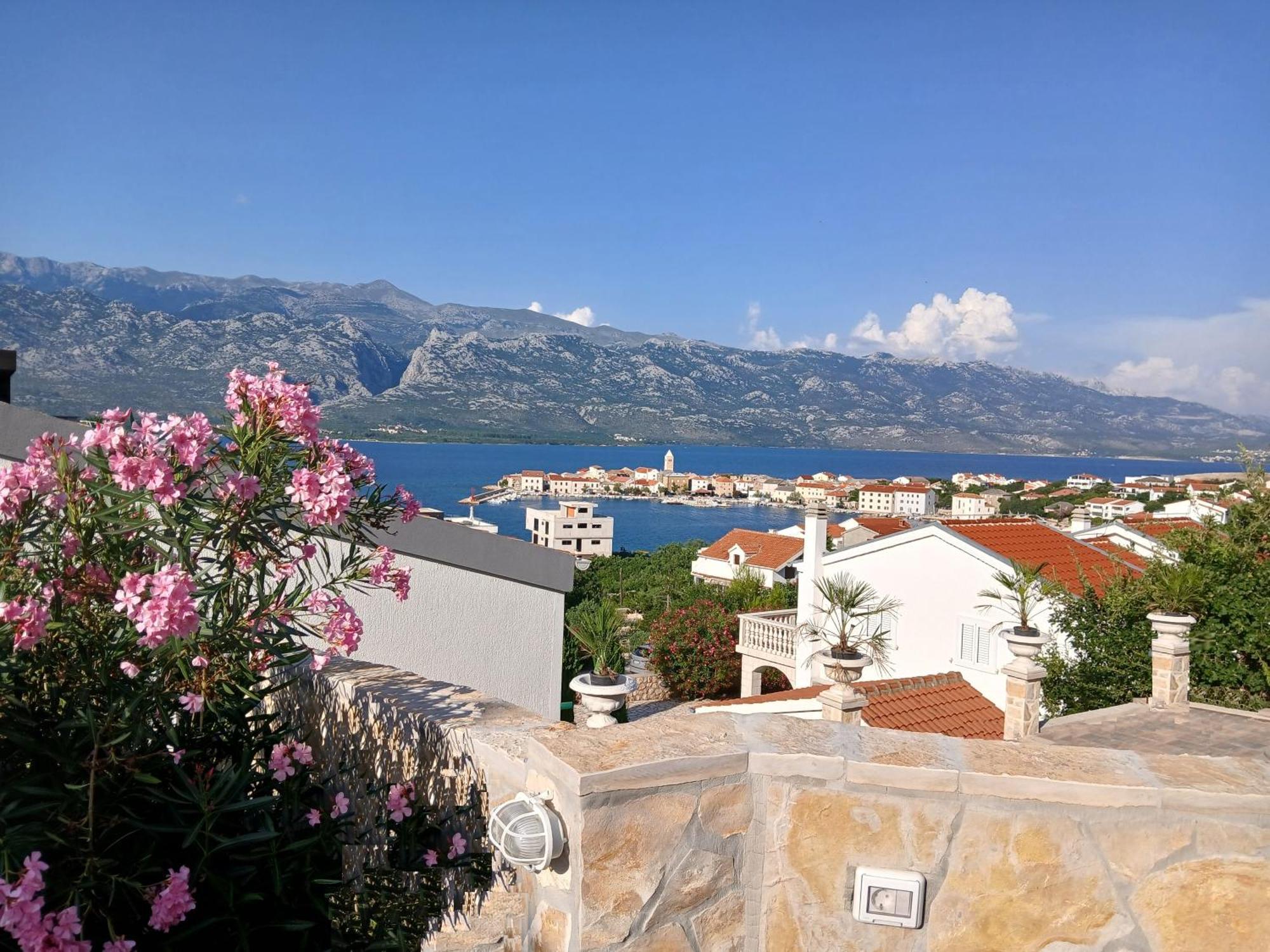 Apartmani Jelic فينجيراك المظهر الخارجي الصورة